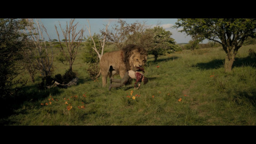 Kraventhe.Hunter.2024.1080p.MA.WEB-DL.DDP.5.1.H264Argon-.mkv_snapshot_00.20.50.397.jpg