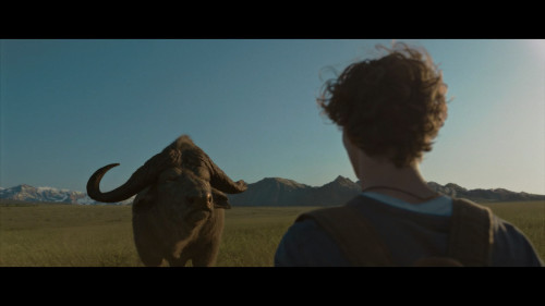 Kraventhe.Hunter.2024.1080p.MA.WEB-DL.DDP.5.1.H264Argon-.mkv_snapshot_00.31.16.757.jpg