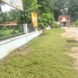 LINE_ALBUM_._250707_1