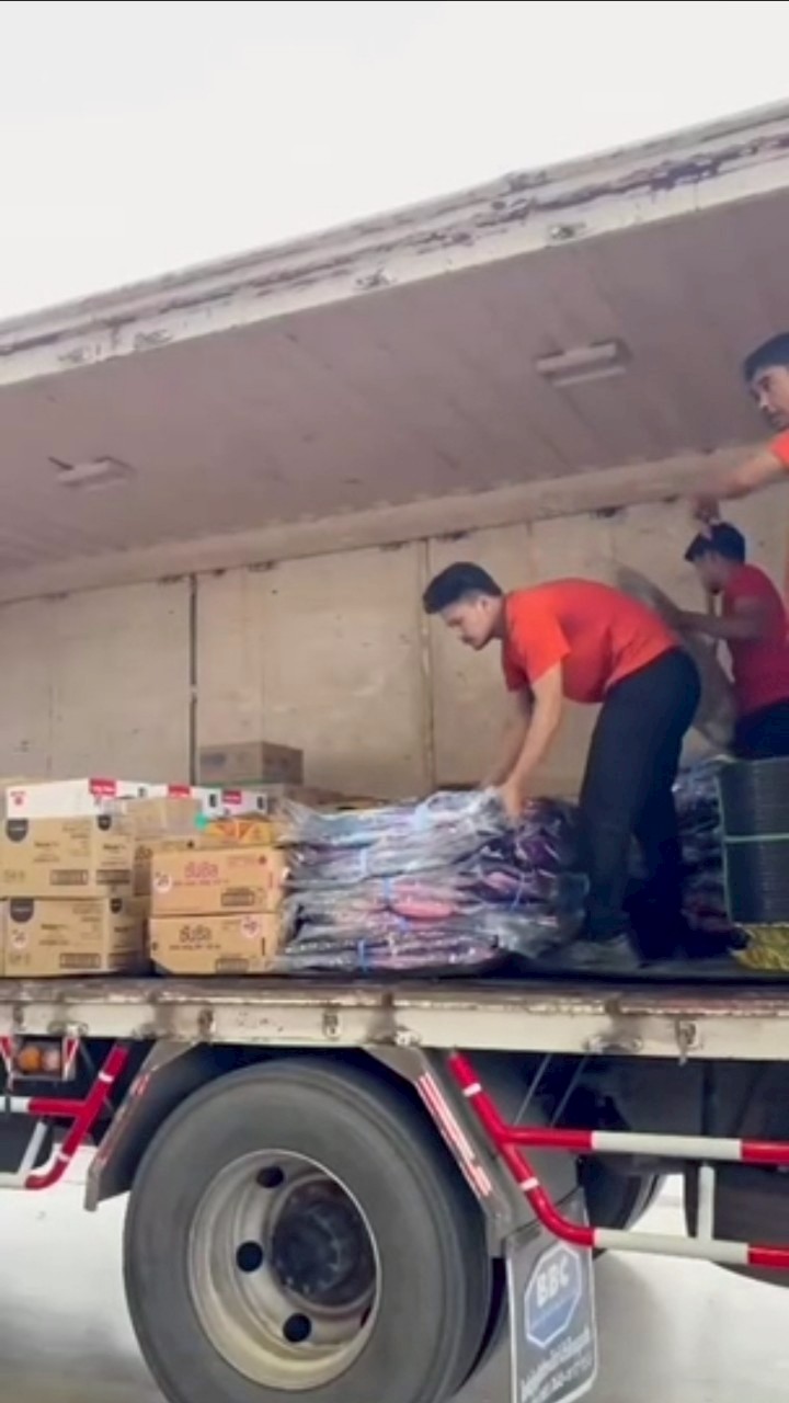 LINE ALBUM 3072025 250730 12