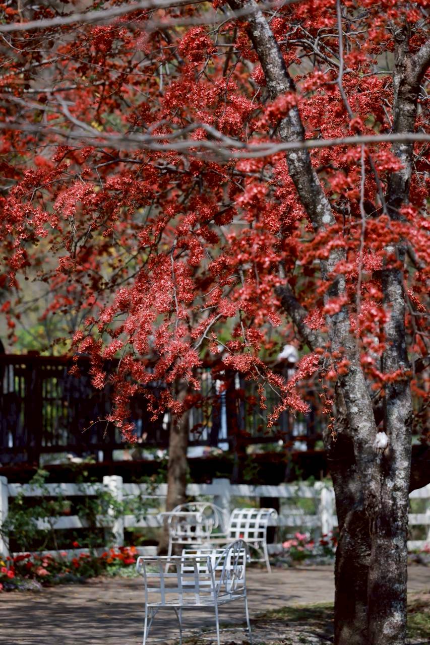 LINE ALBUM 522026 260205 11