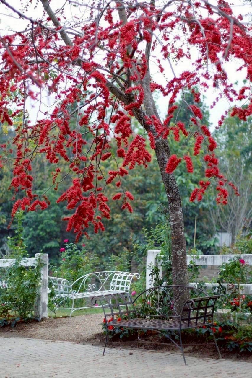 LINE ALBUM 522026 260205 13