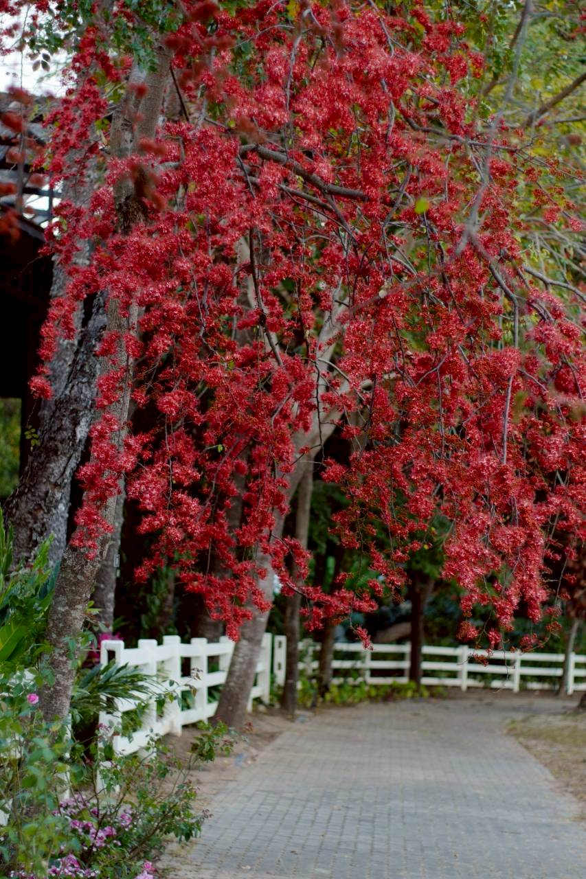 LINE ALBUM 522026 260205 15