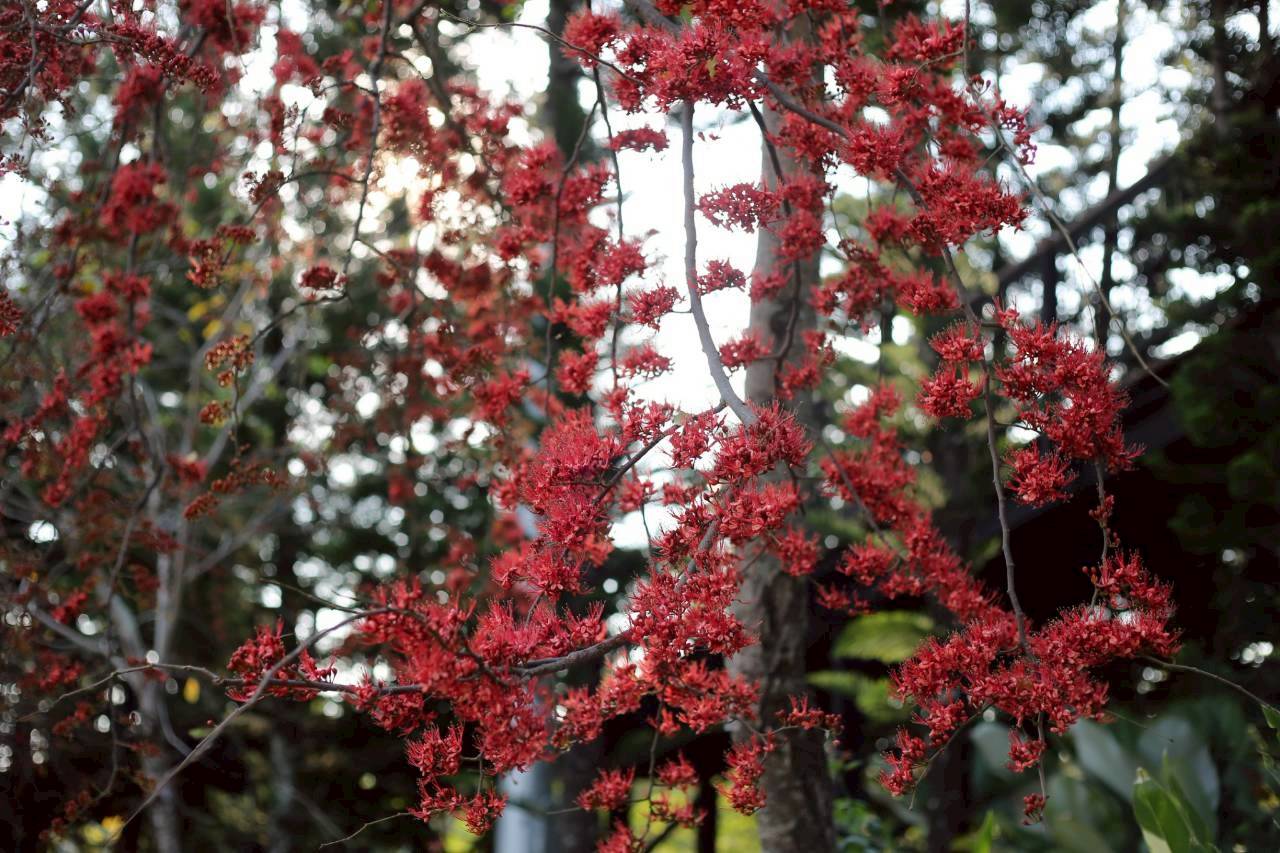 LINE ALBUM 522026 260205 18