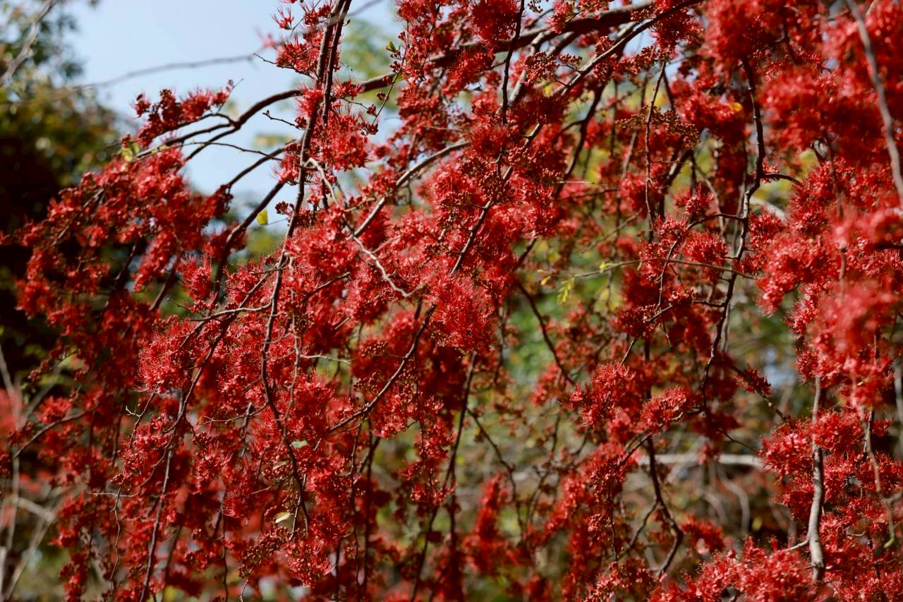 LINE ALBUM 522026 260205 4