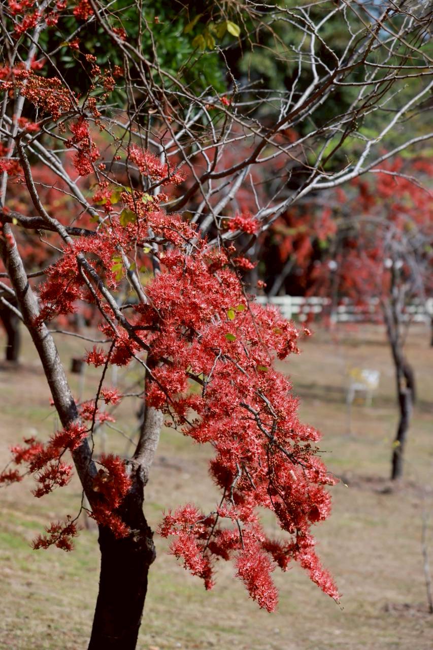 LINE ALBUM 522026 260205 7