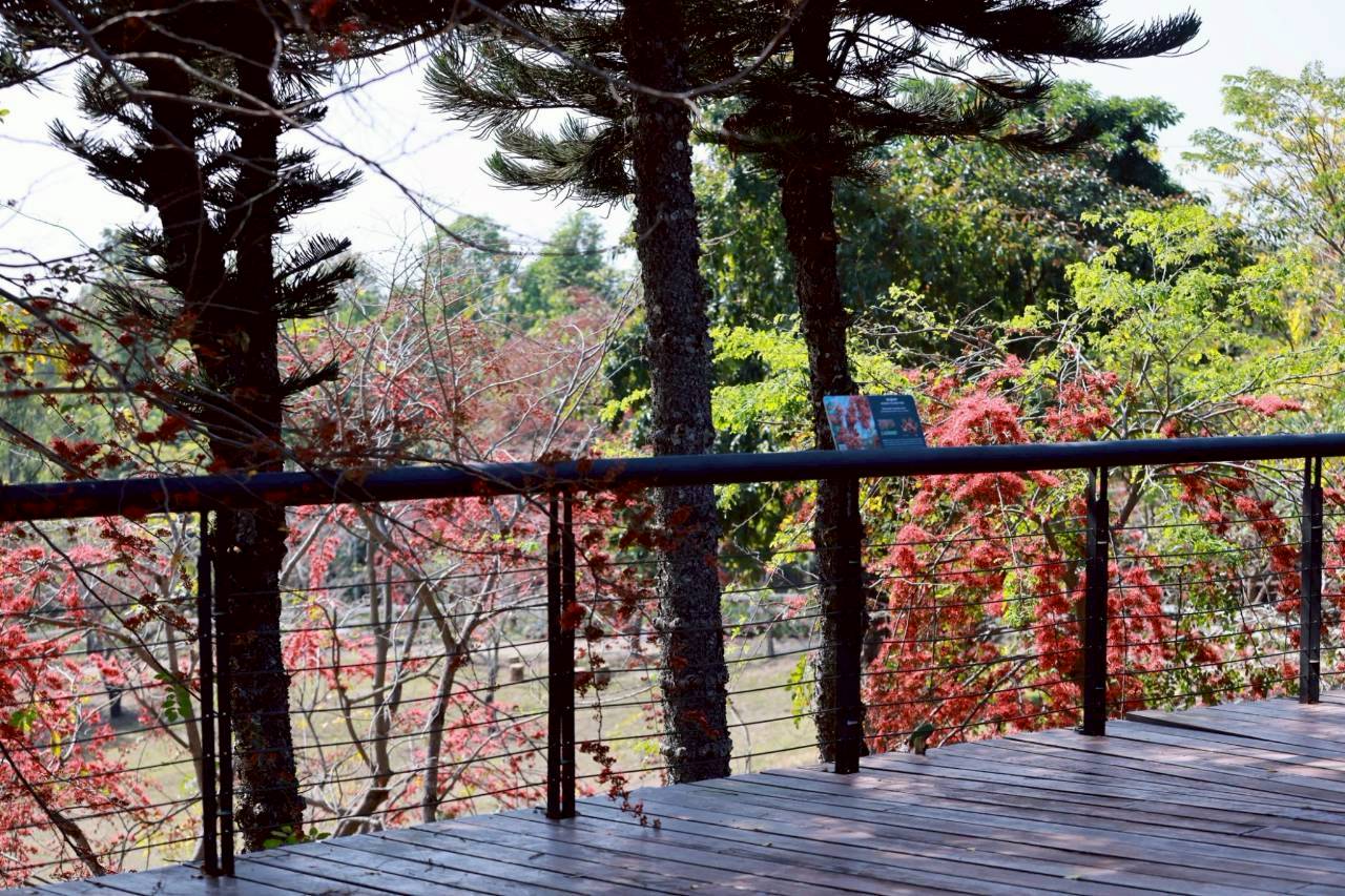 LINE ALBUM 522026 260205 9