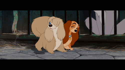 Lady.And.The.Tramp.1955.1080p.HS.WEB-DL.DDP5.1.H264Argon-.mkv_snapshot_00.56.17.659.jpg