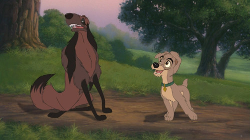 Lady.And.The.Tramp.II.Scamps.Adventure.2001.1080p.HS.WEB-DL.DDP2.0H264Argon-.mkv_snapshot_00.29.01.325.jpg