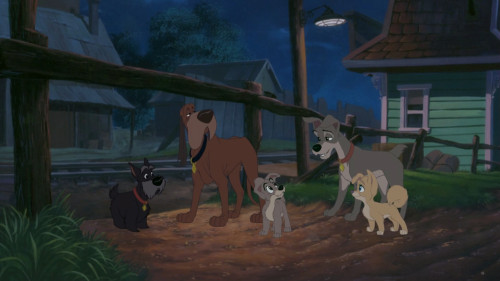 Lady.And.The.Tramp.II.Scamps.Adventure.2001.1080p.HS.WEB-DL.DDP2.0H264Argon-.mkv_snapshot_00.57.22.211.jpg