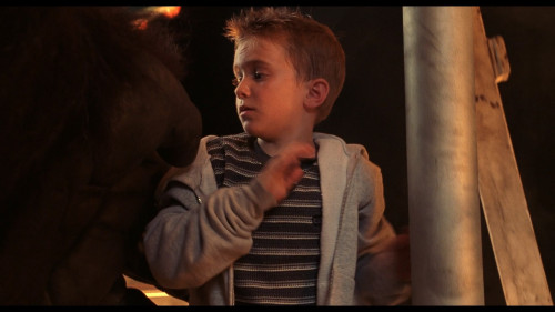 Mighty.Joe.Young.1998.1080p.DSNP.WEB-DL.DDP5.1.H264Argon-.mkv_snapshot_01.41.03.685.jpg