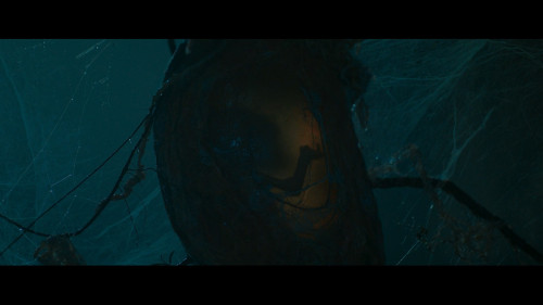 Monster.Island.2024.1080p.NF.WEB-DL.DDP5.1.H.264Argon.mkv_snapshot_00.57.19.889.jpg
