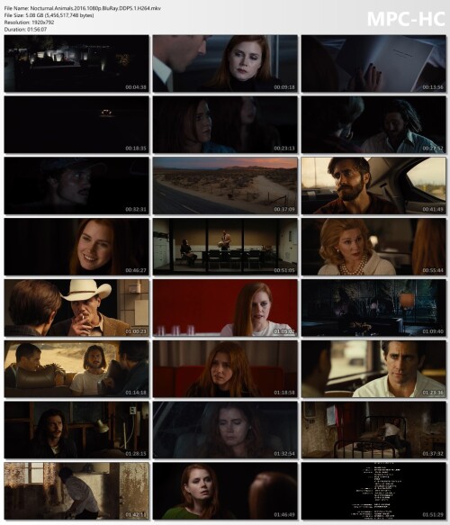 Nocturnal.Animals.2016.1080p.BluRay.DDP5.1.H264.mkv_thumbs.jpg