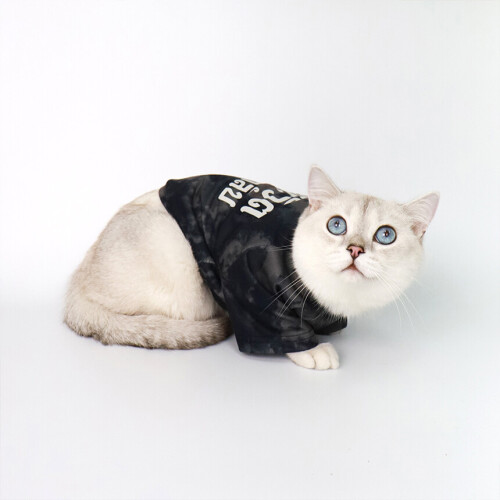 เสื้อน้องแมว