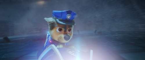 PAW.Patrol.The.Movie.2021.1080p.iT.WEB-DL.DDP5.1.H264Argon-.mkv_snapshot_01.08.20.259.jpg