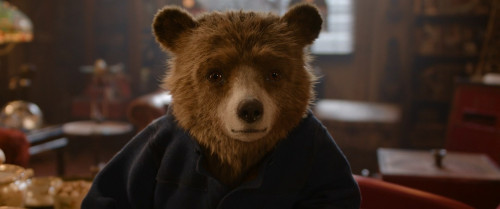 Paddington.in.Peru.2024.11080p.iT.WEB-DL.DDP5.1.H264Argon-.mkv_snapshot_00.13.35.783.jpg