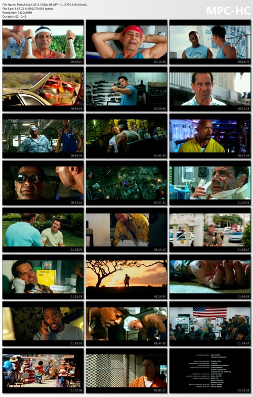 Pain..Gain.2013.1080p.NF.APP-DL.DDP5.1.H264.mkv_thumbs.jpg