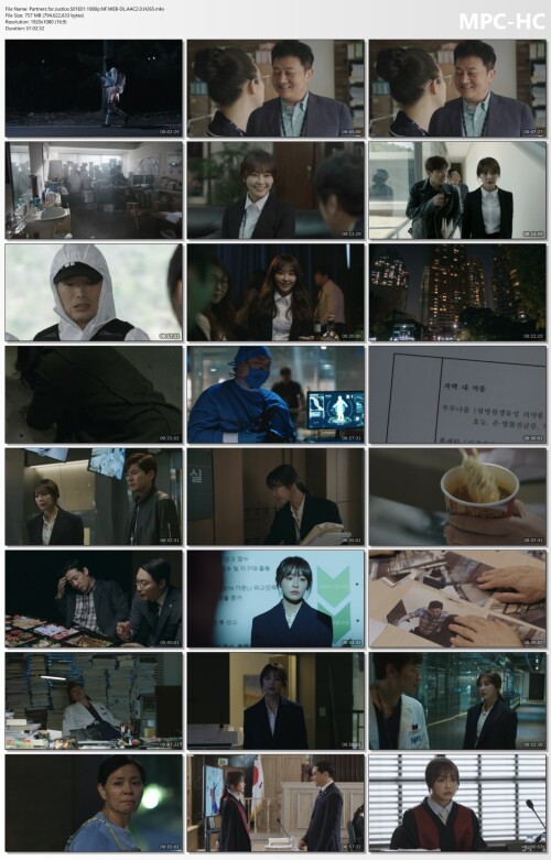 Partners.for.Justice.S01E01.1080p.NF.WEB-DL.AAC2.0.H265.mkv_thumbs.jpg