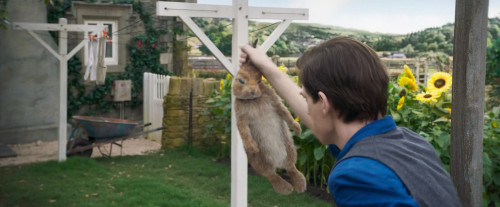 Peter.Rabbit.2018.1080p.iT.WEB-DL.DDP5.1.H264Argon.mkv_snapshot_00.33.26.168.jpg