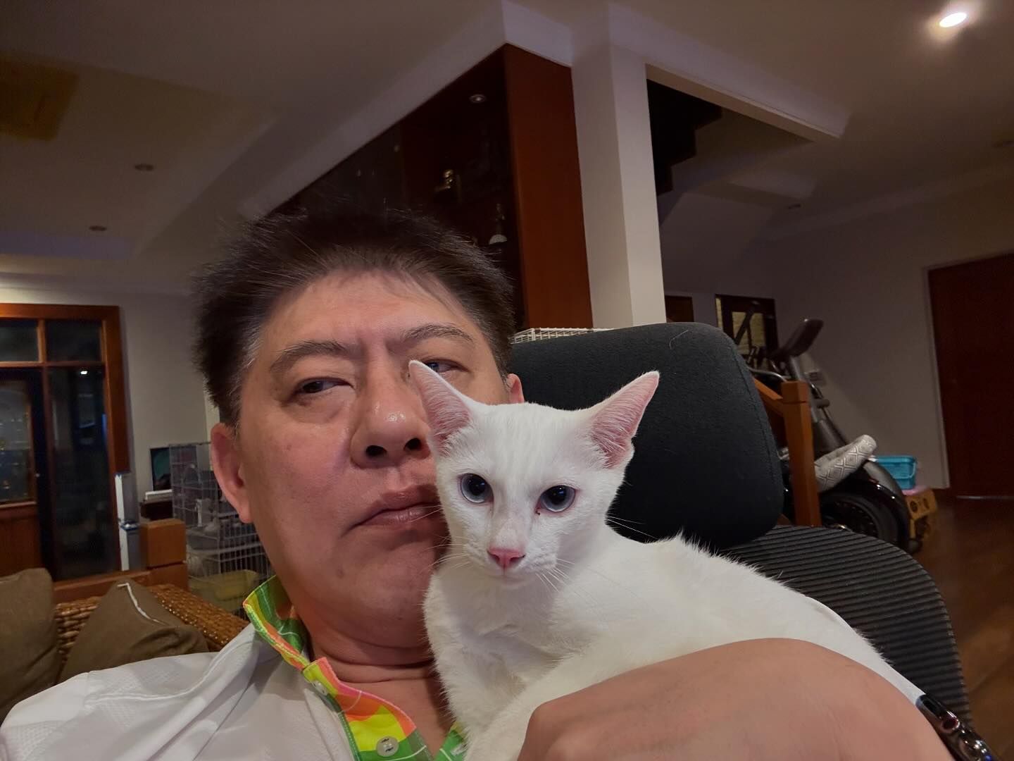 Photo by @sorrayuth9111 on November 08, 2024. อาจเป็นรูปเซลฟี่ของ 1 คน, แมวแร็กดอลล์ และ ลูกแมว.