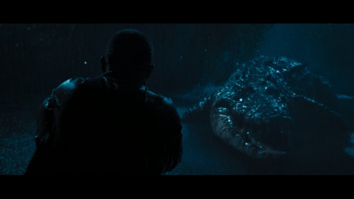 Primeval.2007.1080p.HS.WEB-DL.DDP2.0.H264Argon-.mkv_snapshot_01.24.12.817.jpg