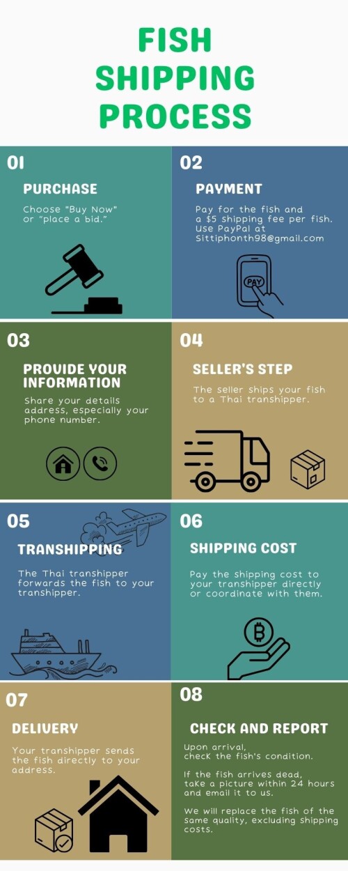 Process-transportation.jpeg