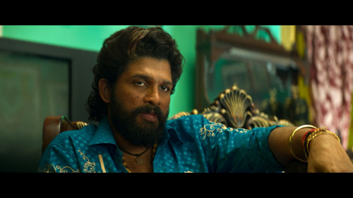 Pushpa.2.The.Rule.Reloaded.Version.2024.1080p.NF.WEB-DL.TELUGU-MULTI.DDP5.1.H264Argon-.mkv_snapshot_02.48.20.670.jpg