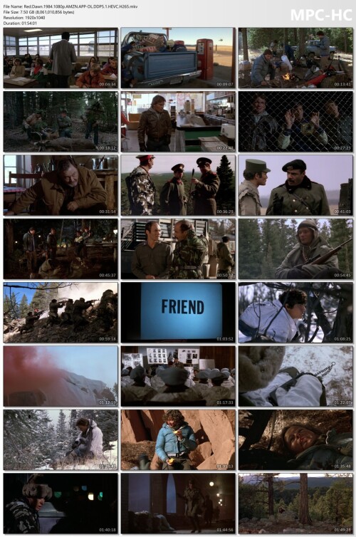 Red.Dawn.1984.1080p.AMZN.APP-DL.DDP5.1.HEVC.H265.mkv_thumbs.jpg