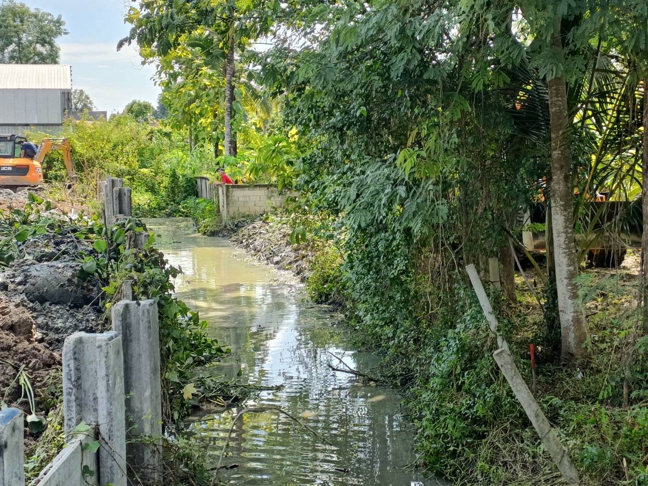 S 4784621 0