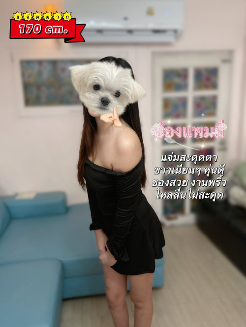 S__82853918.jpg