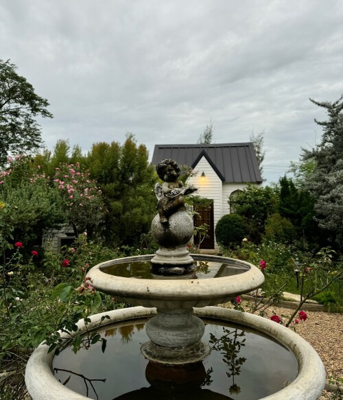 SaveClip App 452003830 1706306580198146 1389156096628656483 n