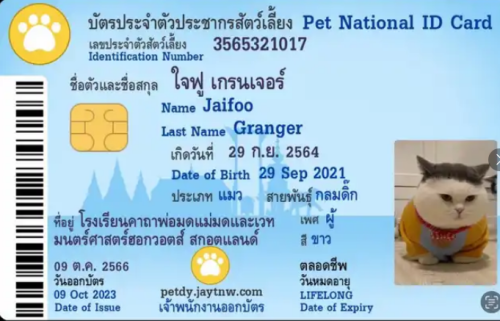 Selection_99911966.png
