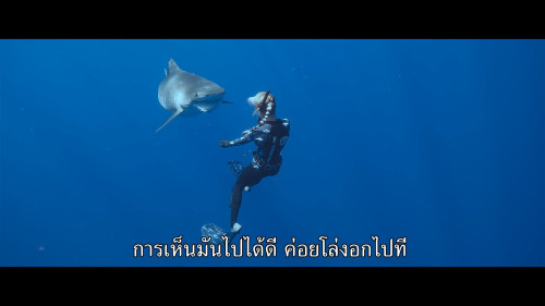 Shark.Whisperer.2025.1080p.NF.WEB-DL.DDP5.1.H.264-.mkv_snapshot_01.23.55.655.jpg