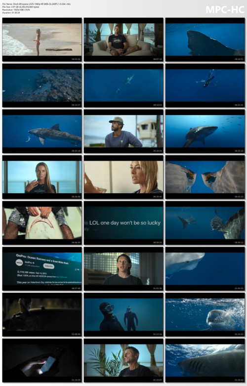 Shark.Whisperer.2025.1080p.NF.WEB-DL.DDP5.1.H.264-.mkv_thumbs.jpg