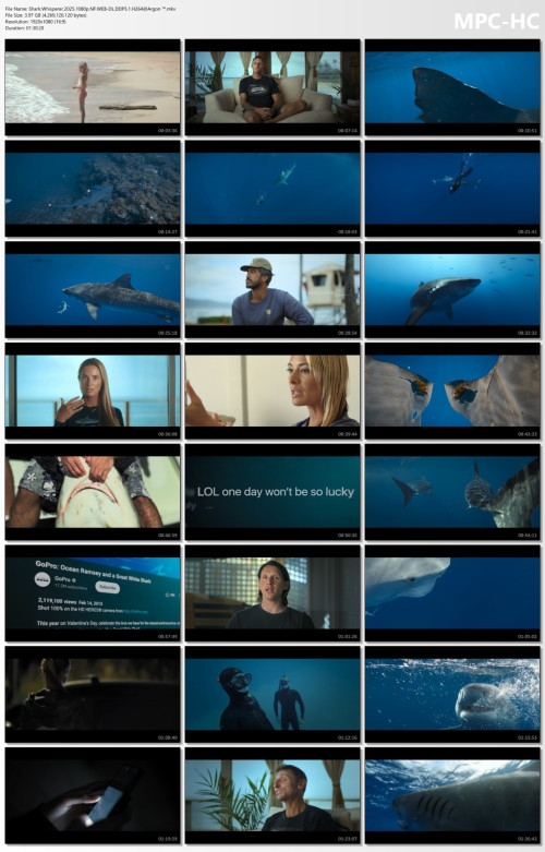 Shark.Whisperer.2025.1080p.NF.WEB-DL.DDP5.1.H264Argon-.mkv_thumbs.jpg
