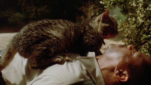 Sleepwalkers.1992.1080p.iT.WEB-DL.DDP2.0.H264Argon-.mkv_snapshot_00.57.21.081.jpg