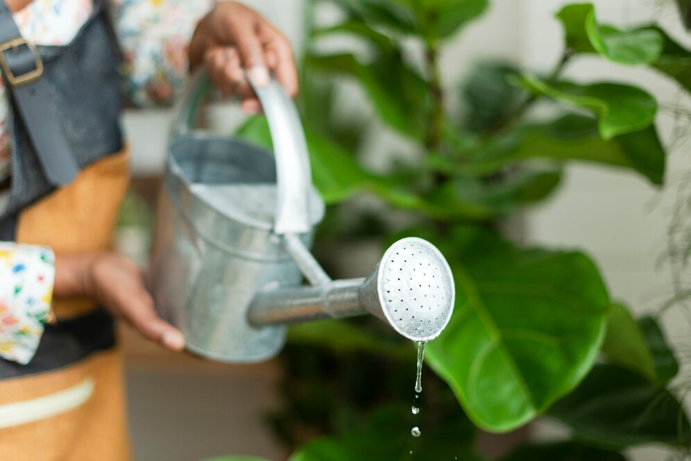 Sustainable Design น้ำฝน