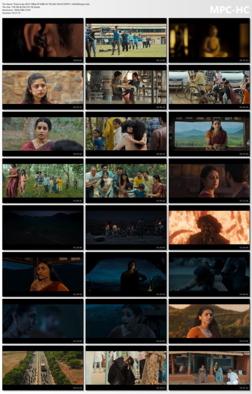 Thammudu.2025.1080p.NF.WEB-DL.TELUGU-MULTI.DDP5.1.H264Argon.mkv_thumbs.jpg