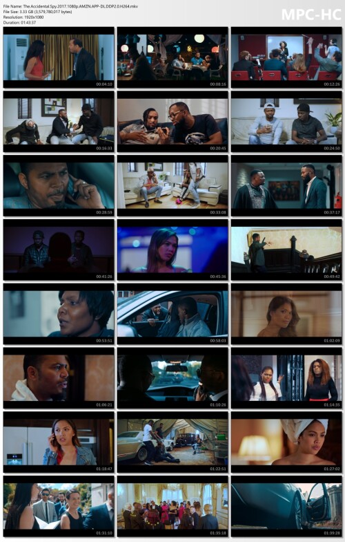 The.Accidental.Spy.2017.1080p.AMZN.APP-DL.DDP2.0.H264.mkv_thumbs.jpg