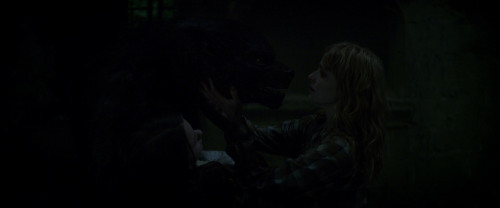 The.Beast.Within.2024.1080p.AMZN.WEB-DL.DDP5.1.H.264-BYNDR.mkv_snapshot_01.23.43.644.jpg