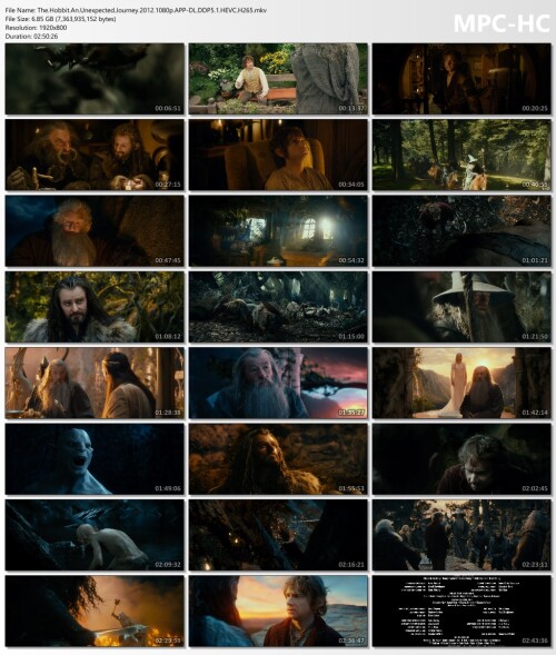 The.Hobbit.An.Unexpected.Journey.2012.1080p.APP-DL.DDP5.1.HEVC.H265.mkv_thumbs.jpg