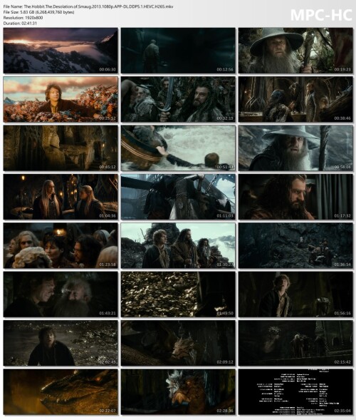 The.Hobbit.The.Desolation.of.Smaug.2013.1080p.APP-DL.DDP5.1.HEVC.H265.mkv_thumbs.jpg