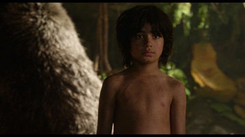 The.Jungle.Book.2016.1080p.HS.WEB-DL.DDP5.1.H264Argon.mkv_snapshot_00.52.36.007.jpg