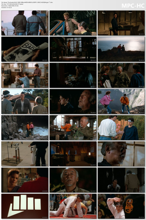 The.Karate.Kid.III.1989.1080p.AMZN.WEB-DL.DDP5.1.HEVC.H265Argon-.mkv_thumbs.jpg