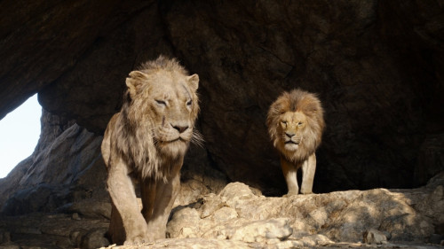 The.Lion.King.2019.1080p.DNSP.WEB-DL.DDP5.1.H264Argon-.mkv_snapshot_00.07.57_2025-03-26_22.55.33.jpg