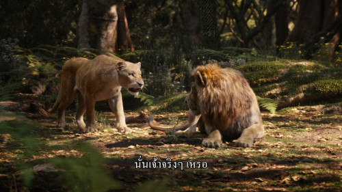 The.Lion.King.2019.1080p.DNSP.WEB-DL.DDP5.1.H264Argon-.mkv_snapshot_01.17.05_2025-03-26_22.56.17.jpg