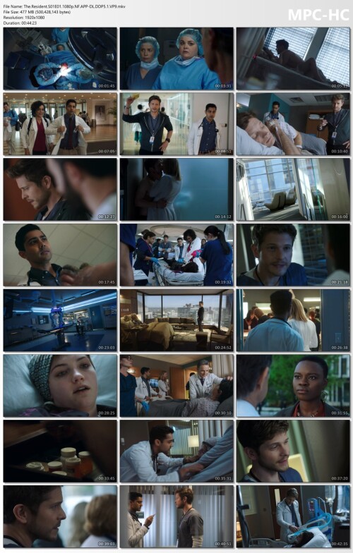 The.Resident.S01E01.1080p.NF.APP-DL.DDP5.1.VP9.mkv_thumbs.jpg