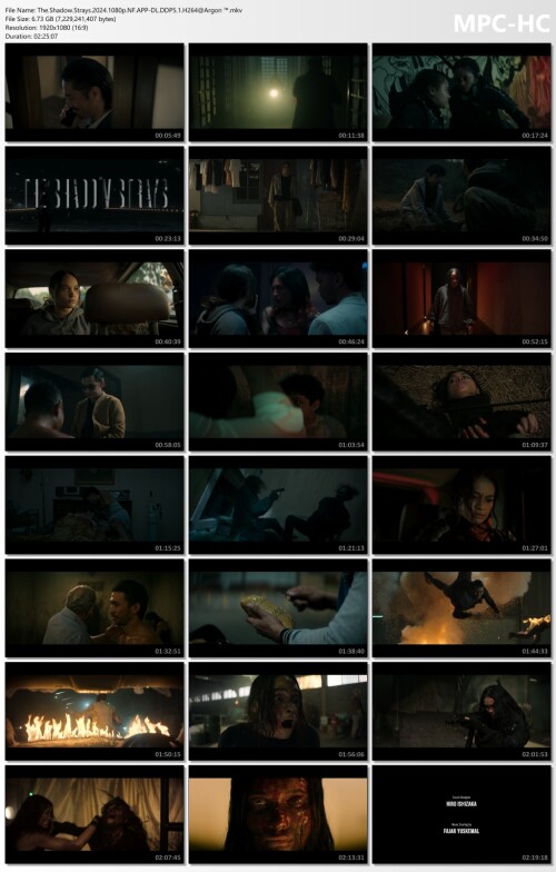 The.Shadow.Strays.2024.1080p.NF.APP-DL.DDP5.1.H264Argon-.mkv_thumbs.jpg