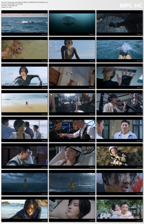 The.Shallows.2025.1080p.NF.WEB-DL.CHINESE.DDP2.0.H264Argon.mkv_thumbs.jpg