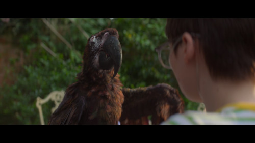 Tuesday.2023.1080p.NF.WEB-DL.DDP5.1.H264Argon-.mkv_snapshot_00.13.53.055.jpg